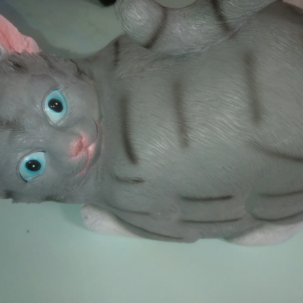 Cat Tissue Holder
